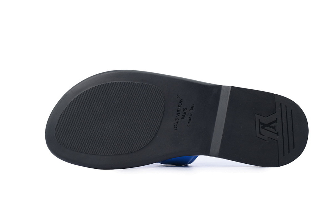 LOUIS VUITTON Oasis Blue Leather Surface