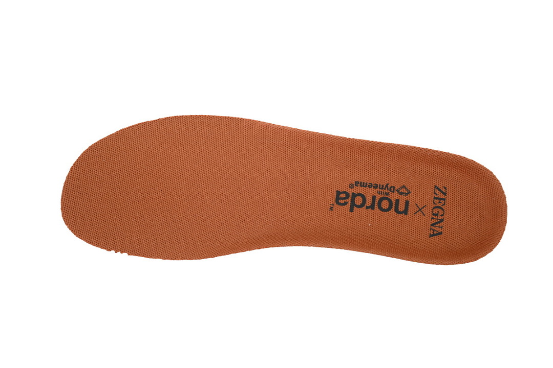 S5631Z-VSN ZEGNA x norda Black Orange