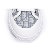 Dior B28 Oblique Gray White  3SH131ZJW-H060