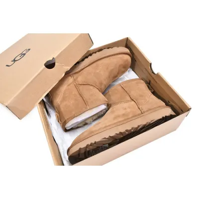 UGG Classic Mini II Chestnut Brown 02