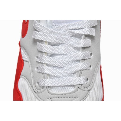 Nike Air Max 1 OG Anniversary Grey White Red
