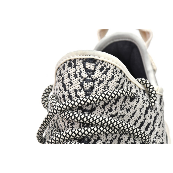 Adidas Originals Yeezy Boost 350 Turle Dove