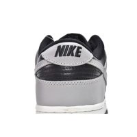 Nike Dunk Low Pro J-Pack Shadow