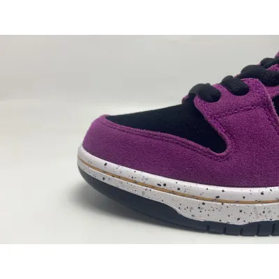 Nike SB Dunk Low ACG Terra Red Plum 02