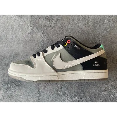 Nike SB Dunk Low Pro IsoVX1000 Camcorder  01