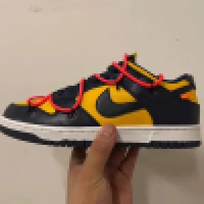 WHITE X Nike Dunk SB Low White Michigan  01